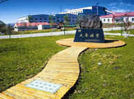 临沂天华矿业集团
