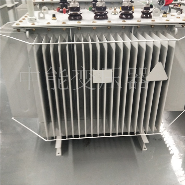 临沂S20-800KVA变压器